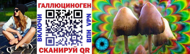 Галлюциногенные грибы Psilocybe  Купить где  Спас-Деменск 